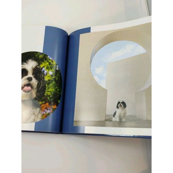 Tails Of The Sun Coast Dog Tog Pet Photography Book - Picture 15 of 16